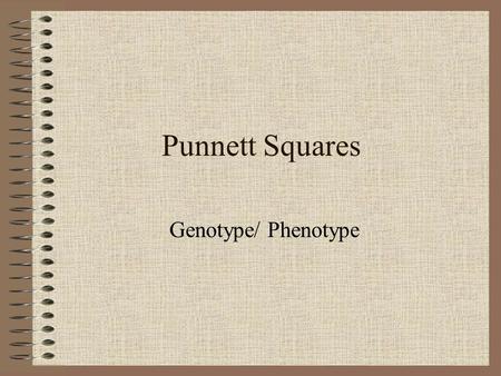 Punnett Squares Genotype/ Phenotype.