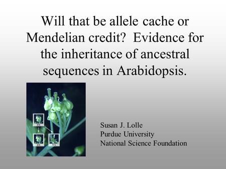 Will that be allele cache or Mendelian credit
