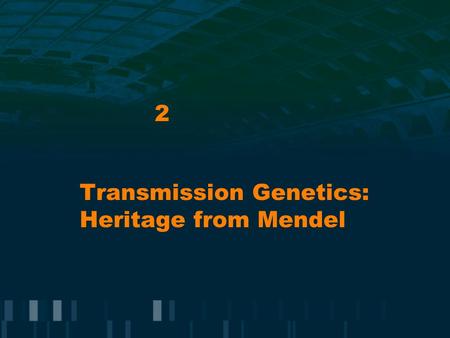 Transmission Genetics: Heritage from Mendel 2. Mendel’s Genetics Experimental tool: garden pea Outcome of genetic cross is independent of whether the.