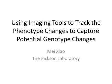 Using Imaging Tools to Track the Phenotype Changes to Capture Potential Genotype Changes Mei Xiao The Jackson Laboratory.