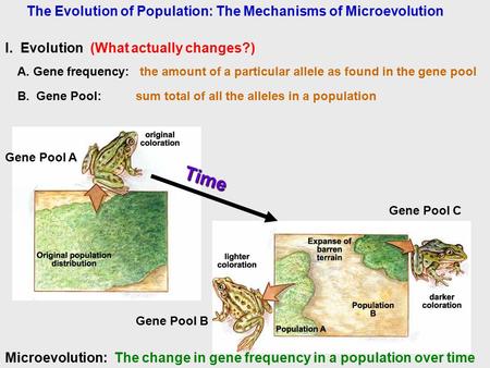 The Evolution of Population: The Mechanisms of Microevolution