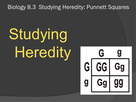 Biology 8.3 Studying Heredity: Punnett Squares