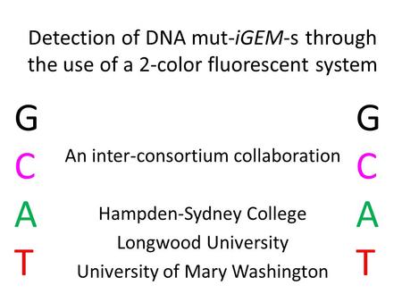 Detection of DNA mut-iGEM-s through the use of a 2-color fluorescent system An inter-consortium collaboration Hampden-Sydney College Longwood University.