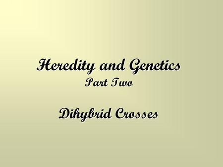 Heredity and Genetics Part Two Dihybrid Crosses. Review of Monohybrid Crosses Remember, monohybrid crosses involve only ONE trait Practice… In fruit flies,