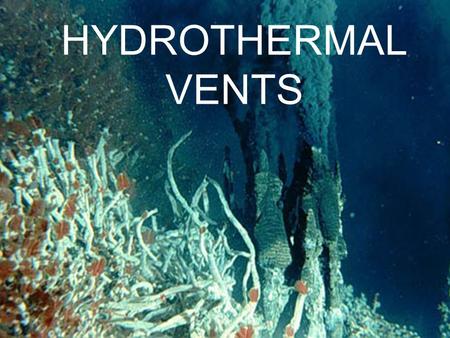 HYDROTHERMAL VENTS.