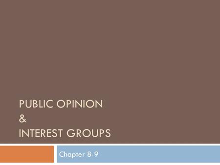 Public Opinion & Interest Groups