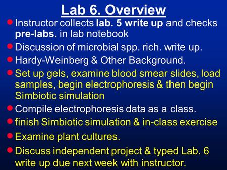 Lab 6. Overview  Instructor collects lab. 5 write up and checks pre-labs. in lab notebook  Discussion of microbial spp. rich. write up.  Hardy-Weinberg.