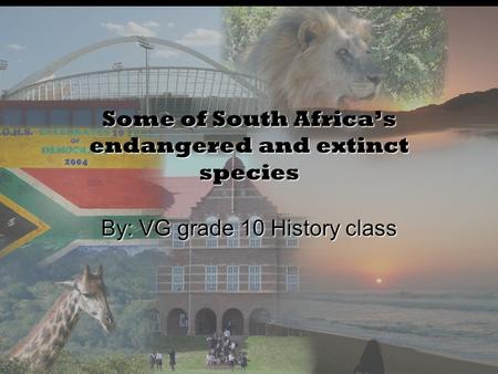 Some of South Africa’s endangered and extinct species By: VG grade 10 History class.
