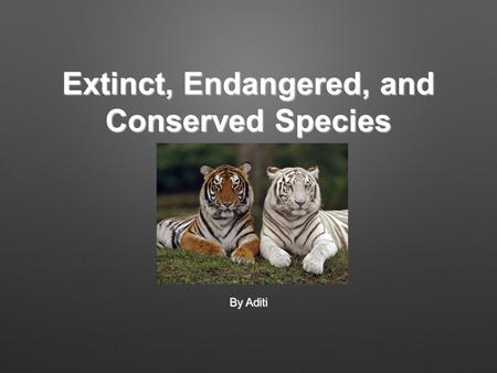 Extinct, Endangered, and Conserved Species By Aditi.