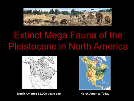 Extinct Mega Fauna of the Pleistocene in North America