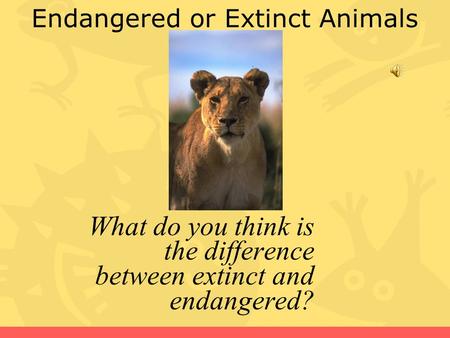 Endangered or Extinct Animals What do you think is the difference between extinct and endangered?