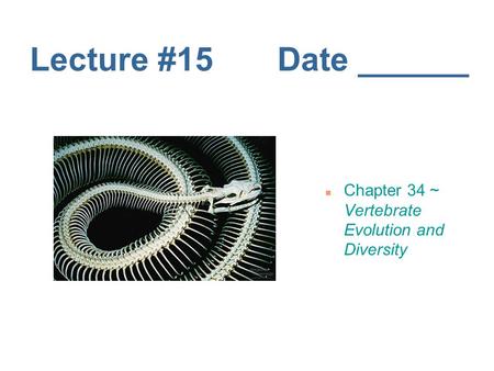 Lecture #15 Date ______ Chapter 34 ~ Vertebrate Evolution and Diversity.