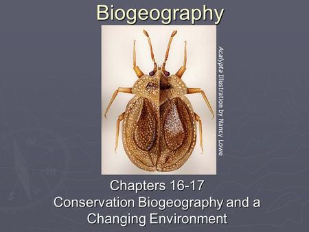 Biogeography Chapters 16-17 Conservation Biogeography and a Changing Environment Acalypta Illustration by Nancy Lowe.