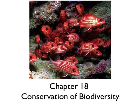 presentation of biodiversity