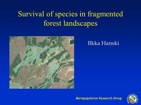 Metapopulation Research Group Survival of species in fragmented forest landscapes Ilkka Hanski.