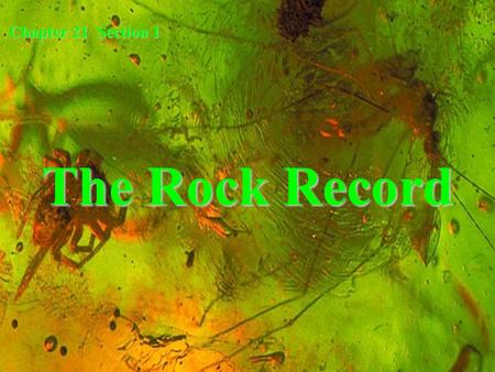 Chapter 21 Section 1 The Rock Record.