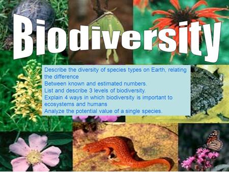 Biodiversity Describe the diversity of species types on Earth, relating the difference Between known and estimated numbers. List and describe 3 levels.