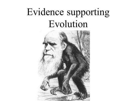 Evidence supporting Evolution.  Six main lines of evidence that supports the theory of evolution 1.Fossil Evidence 2.Homologous Structures 3.Vestigial.