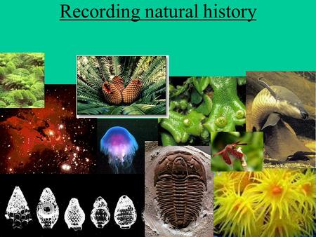 Recording natural history