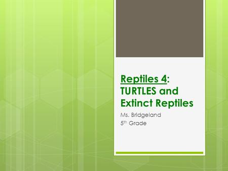 Reptiles 4: TURTLES and Extinct Reptiles