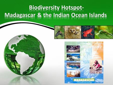 According to Conservation International, a biodiversity hotspot is defined by the following 2 criteria: 1.It must have at least 1,500 species of endemic.