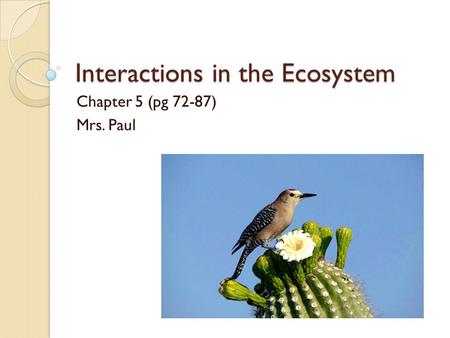 Interactions in the Ecosystem