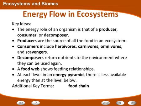 Ecosystems and Biomes Energy Flow in Ecosystems Key Ideas:  The energy role of an organism is that of a producer, consumer, or decomposer.  Producers.