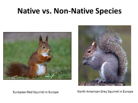 Native vs. Non-Native Species