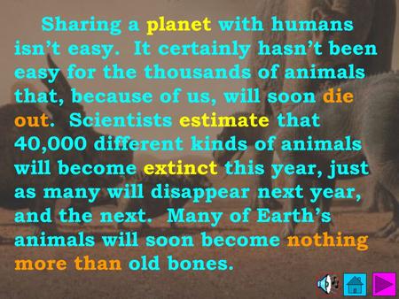 Sharing a planet with humans isn’t easy. It certainly hasn’t been easy for the thousands of animals that, because of us, will soon die out. Scientists.