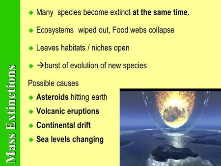 Mass Extinctions MMany species become extinct at the same time. EEcosystems wiped out, Food webs collapse LLeaves habitats / niches open  burst.