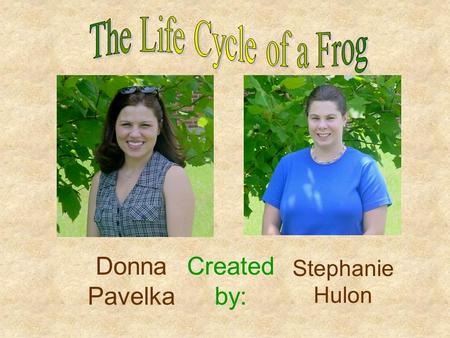 Created by: Donna Pavelka Stephanie Hulon What do you know about frogs?