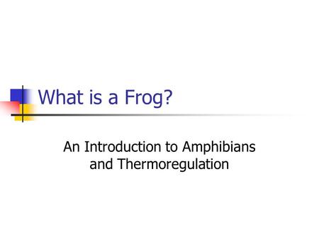 What is a Frog? An Introduction to Amphibians and Thermoregulation.
