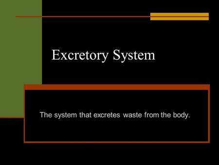 Excretory System The system that excretes waste from the body.