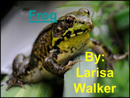 Frog By: Larisa Walker. Dorsal Mouth Internal Male Female 1 2.