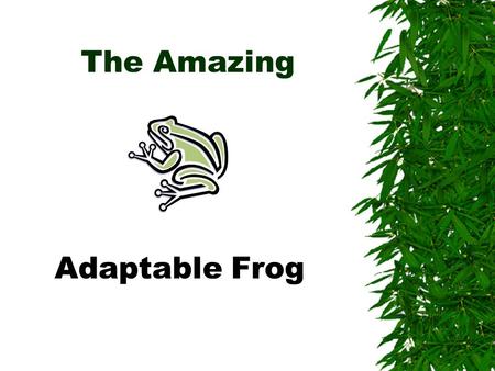 The Amazing Adaptable Frog  Toad???  Frog???  Toad???  Frog???  What gives?