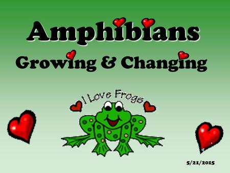 Amphibians Growing & Changing 5/21/2015. Table of Contents Frog & Toad Facts Life Cycle of the Frog/Toad Weird Frog & Toad Facts! Hop into Reading!! “Froggy”