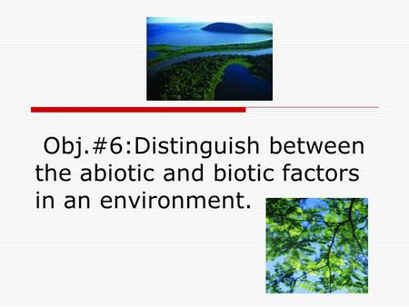 Obj.#6:Distinguish between the abiotic and biotic factors in an environment.