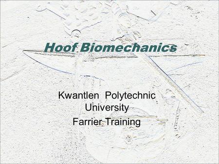 Hoof Biomechanics Kwantlen Polytechnic University Farrier Training.