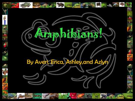 Amphibians! By Averi, Erica, Ashley,and Azlyn. General Characteristics Habitat- Diverse-found in deserts, swamps, lowland tropical rainforests, above.