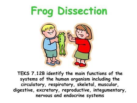 Frog Dissection TEKS 7.12B identify the main functions of the systems of the human organism including the circulatory, respiratory, skeletal, muscular,