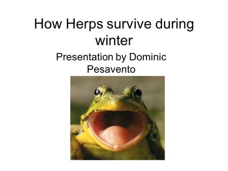 How Herps survive during winter Presentation by Dominic Pesavento.