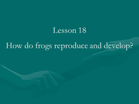 How do frogs reproduce and develop?