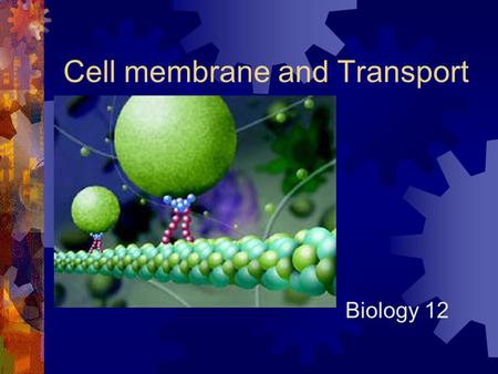Cell membrane and Transport