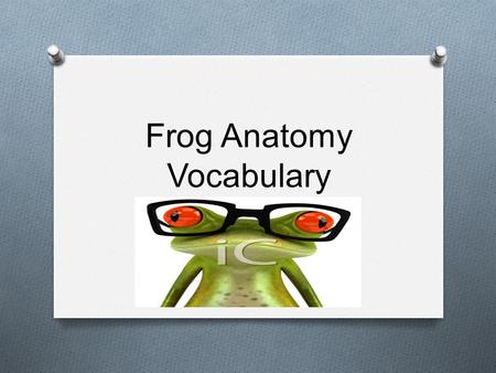 Frog Anatomy Vocabulary