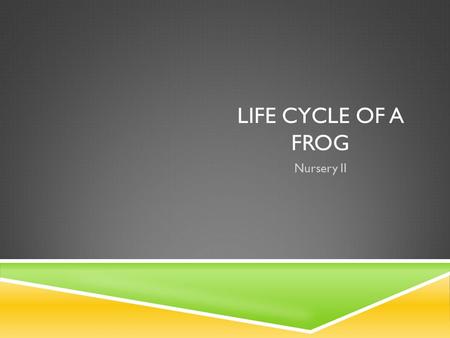 LIFE CYCLE OF A FROG Nursery II. LIFE CYCLE OF A FROG.