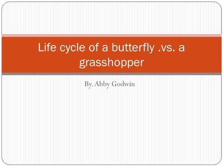 Life cycle of a butterfly .vs. a grasshopper