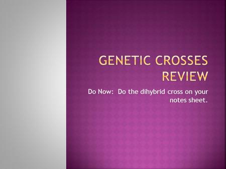Genetic Crosses Review