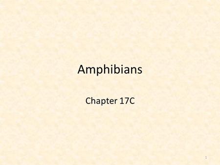 Amphibians Chapter 17C 1. Characteristics of Amphibians Life Cycle: Body: Typically have a two-part life cycle. – Swimming stage with gills – Terrestrial.