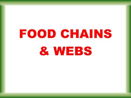 FOOD CHAINS & WEBS Introduction to ENERGY FLOW.