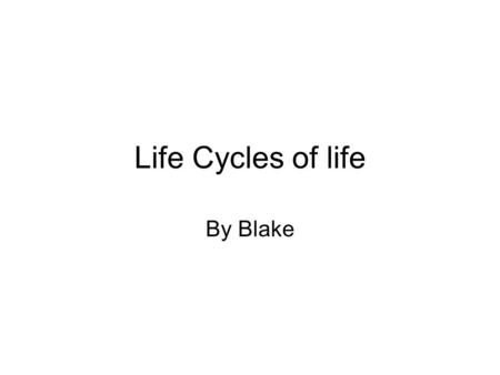 Life Cycles of life By Blake. precipitation evaporation condensation Ground water.